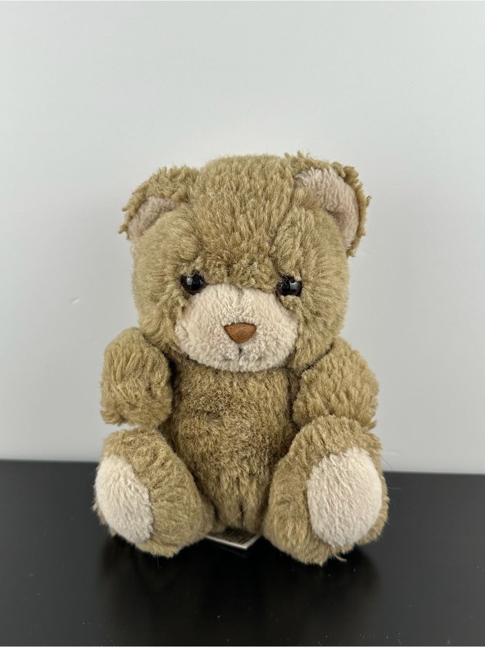 Mighty Star Polar Puff Rare Todd Teddy Bear 6” #4103 Plush 1985
